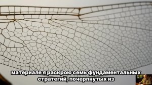 ЮНГ РАЗРУШИЛ МИФ — Одиночество после 50 НАЧАЛО великой ЛЮБВИ