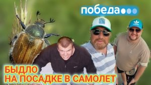 YOUTUBE НАС 6000 УРА! ОПЯТЬ УЛЕТАЕМ. ПРАВДА О МАЙСКИХ ЖУКАХ. КУДА ЛЕТИМ ПОБЕДА.