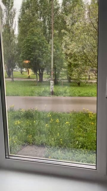 15505166895851