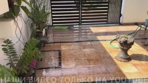 Привет я Индия СКОЛЬКО МОЖНО ВРАТЬ-ПОЙМАЛА НА ЛЖИ СИЕСТА ЭТО ЛУЧШЕЕ ВРЕМЯ ДЛЯ БАЗАРА