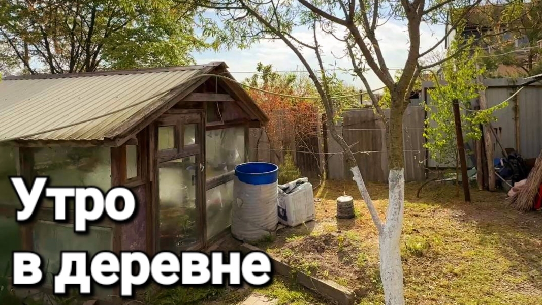 Раннее утро в деревне. Азовское море, тепло к нам вернулось. #Голубицкая