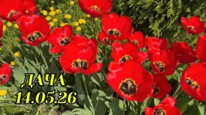 ДАЧА 14 МАЯ 2026 Г