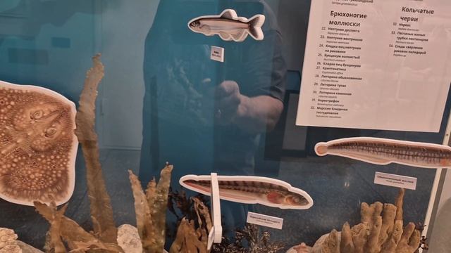 С площади Ленина в уже не тот Краеведческий музей