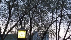 часы у рондо