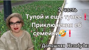 2 часть. Тупой и ещё тупее🤣❗️Приключения еб семейки❗️