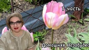 1 часть. С@пля к ДОСКИНЦАМ за помощью обращаться НЕ ХОЧЕТ🤔❗️Или не может❓️