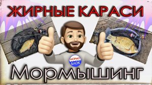 Жирные караси на спиннинг. Мормышинг.