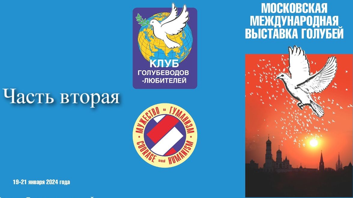 Феликс Красиловский и голуби (часть вторая).