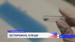 887 человек стали жертвами укусов клещей в Нижегородской области с начала сезона