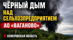 14 мая Что сжигают на животноводческом комплексе «Ваганово» в Кемеровской области?