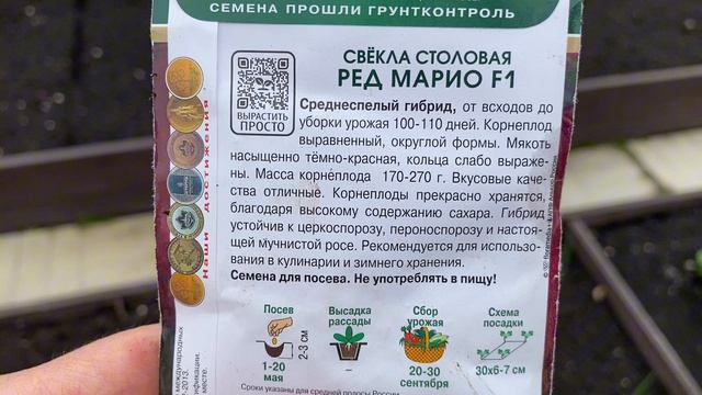 На дачу в деревню#Сажаю рассаду в теплицу#Сею морковь,свёклу#Прогулка по саду#11мая2026#дача#деревня
