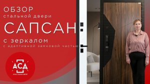 Показываем стальную дверь для квартиры Сапсан с зеркалом