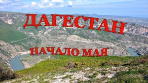 Энтомологические вылазки: Дагестан, начало мая