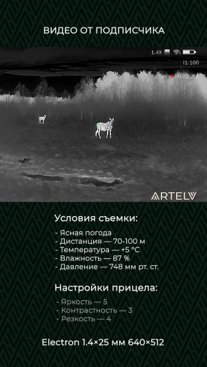 Наблюдение за лосями через тепловизор Electron 1.4×25 мм 640×512