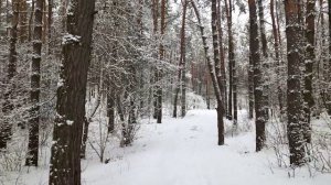 зимний лес сделан К саша