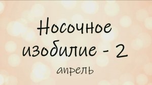 СП «Носочное изобилие - 2». Отчет апрель.