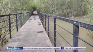 Рыбное место неизвестного происхождения: «Вести» узнали, что скрывают заросли у Искитимки