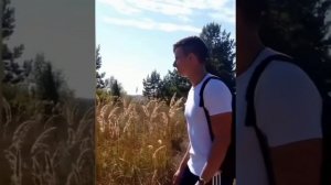 БЕЛЫЕ ЖУРАВЛИ (моё личное стихотворение)