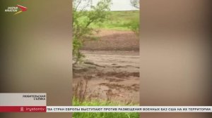 830 гектаров посевов повреждены в Северной Осетии в результате удара стихии