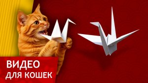 Видео для Кошек - Охота на бумажного журавлика (Развлеки своего кота)