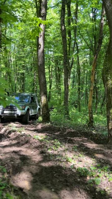 #рейдпамяти2026 #бездорожье #деньпобеды #krd4x4 #паджеро2 #паджеронабездорожье