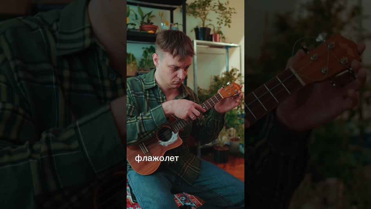Как играть флажолеты на укулеле? Пошаговая техника смотреть онлайн