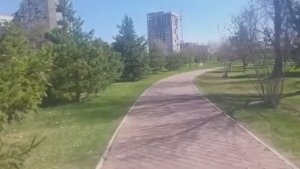 Любовь. Она пришла .Сквер Победителей. Красноярск