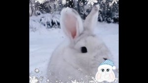 winter❄️