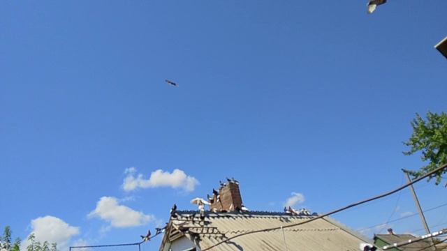 889.mp4 смотреть онлайн