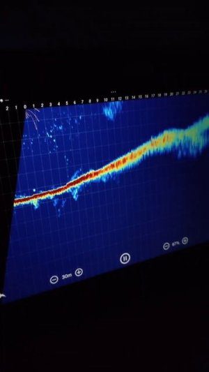 Panoptix нервно закурил)) Accuphy Ping Live sonar. Функционал и качество картинки уверенно растут