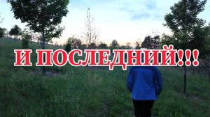 КАК ВЫЖИВАЮТ РУССКОЯЗЫЧНЫЕ НА ЗАГНИВАЮЩЕМ ЗАПАДЕ: прогулка в диком лесу с неприятным сюрпризом