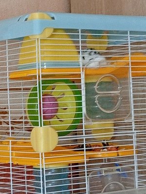 2 часть как я раскрашиваю слайм