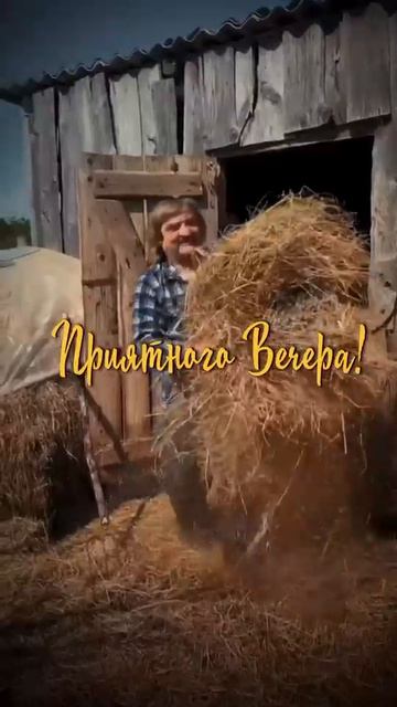 14-05-2026 добрый вечер смотреть онлайн