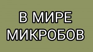 Прогулка ЗАСЦАНИ