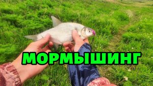 Мормышинг на реке Миус