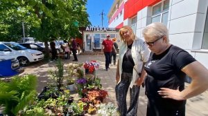 обо всём  и не о чём🫠
цены  на рассаду цветов