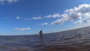 ИДУЩИЙ ПО ВОДЕ! ВСКОЧИЛ С ПЕТУХАМИ И НА МОРЕ! ПОЛНАЯ СЕТКА РЫБЫ!
