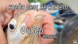 Как успешно ловить на фидер в любых условиях.Рыбалка на Кубани.