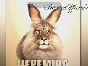 Тихо не спеша черемша