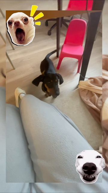 когда очень сильная любовь♥️