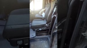 Газон Некст сиденье отзыв