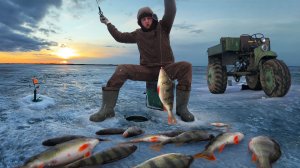 Попали на жор. Огромные окуни и щуки. Бешеный клев на болоте! ВТОРОЙ ДЕНЬ
