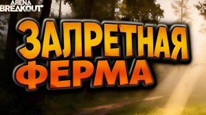 Ассорти - Arena Breakout
