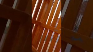 Что мы делаем на улице
