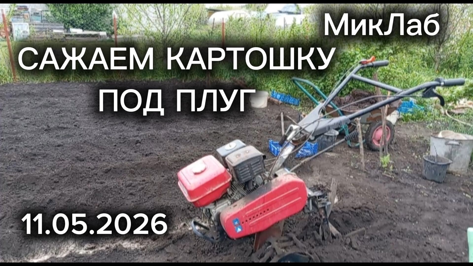Сажаем картошку под ПЛУГ. МотоБлок. 11.05.2026. МикЛаб