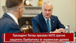 Президент Литвы призвал НАТО срочно защитить Прибалтику от украинских дронов