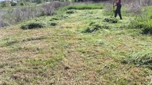 СЕЗОН - ОТКРЫТ 🌱🌿☘️🌾🌱