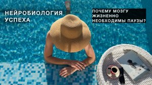 Нейробиология успеха: почему мозгу необходимы паузы?
