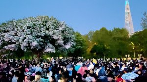 K-열풍~한강공원 외국인 인파로 북적북적! 잠실한강공원 휴일풍경, 스타워즈 드론쇼, 서울여행 워커