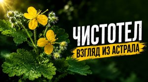 ЧИСТОТЕЛ ВЗГЛЯД ИЗ АСТРАЛА